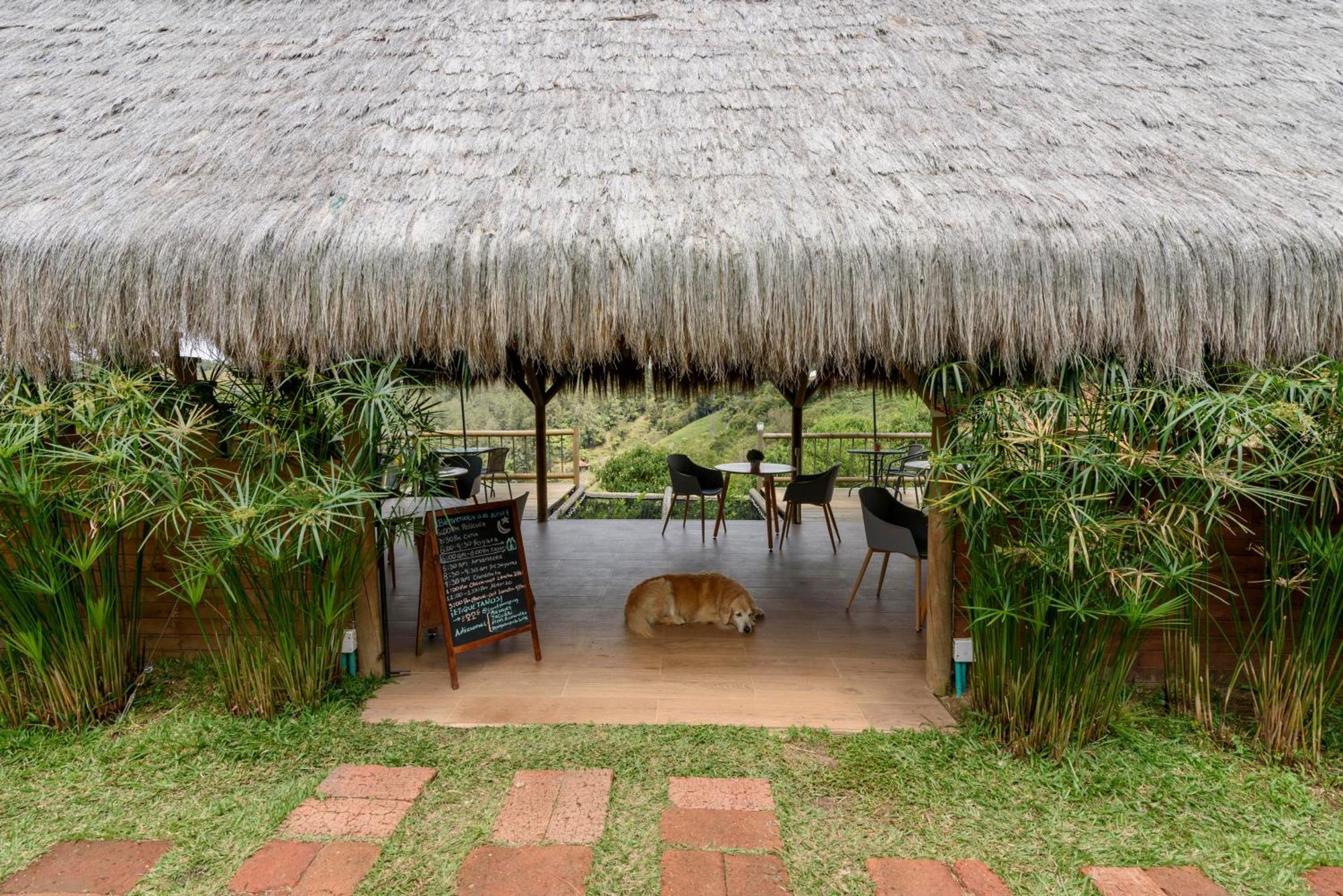 Levit Glamping - Hotel Guatapé ADULTS ONLY Extérieur photo